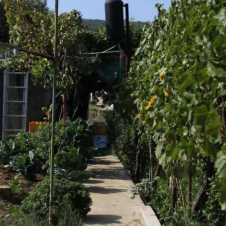 By The Sea Tkon, Pasman - 341 Διαμέρισμα Tkon