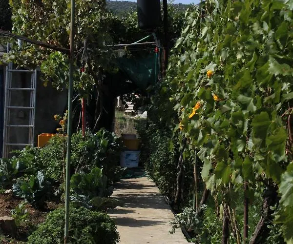 By The Sea Tkon, Pasman - 341 아파트 트콘